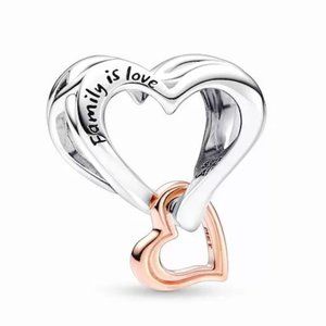 Pandora Two-tone Openwork Infinity Heart Charm 782642C00
